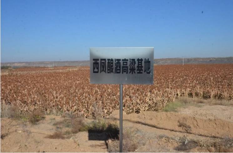 西鳳酒：展現(xiàn)傳統(tǒng)釀造技藝<strong></p>
<p>西鳳酒
</strong>，卓越品質(zhì)續(xù)寫華章:西鳳酒
