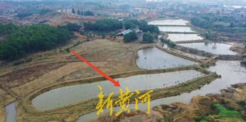 65歲農(nóng)婦荒塘養(yǎng)魚被判“非法占用農(nóng)地”：羈押10月后免刑<strong></p>
<p>西鳳酒
</strong>，仍喊“我沒罪”:西鳳酒
