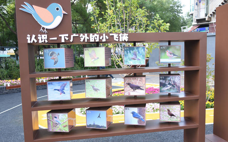 西城區(qū)廣外街道：“斷頭路”變身口袋公園<strong></p>
<p>西鳳酒
</strong>，裝滿民生“微幸?！?西鳳酒

