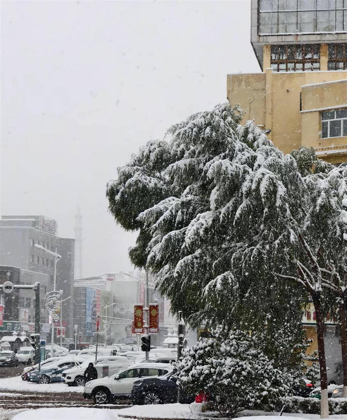 北方多地迎來第一場雪<strong></p>
<p>西鳳酒
</strong>，黑龍江局地已出現(xiàn)暴雪，積雪深5厘米，氣象專家稱今年初雪略提前:西鳳酒
