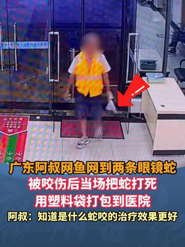 廣東62歲阿叔網(wǎng)魚(yú)網(wǎng)到2條眼鏡蛇<strong></p>
<p>西鳳酒
</strong>，被咬傷后當(dāng)場(chǎng)打死，并打包提進(jìn)醫(yī)院:西鳳酒
