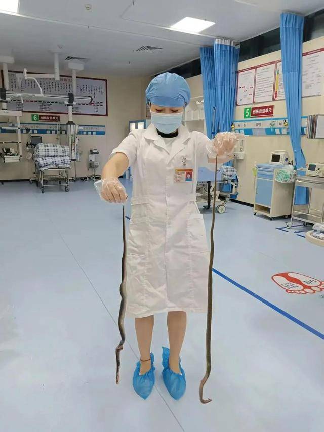 廣東62歲阿叔網(wǎng)魚(yú)網(wǎng)到2條眼鏡蛇<strong></p>
<p>西鳳酒
</strong>，被咬傷后當(dāng)場(chǎng)打死，并打包提進(jìn)醫(yī)院:西鳳酒
