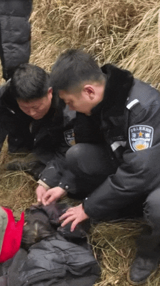 遼寧4歲女童稱睡醒后自行下車，迷路后睡在草地，期間無(wú)人接觸；其母發(fā)聲:西鳳酒
