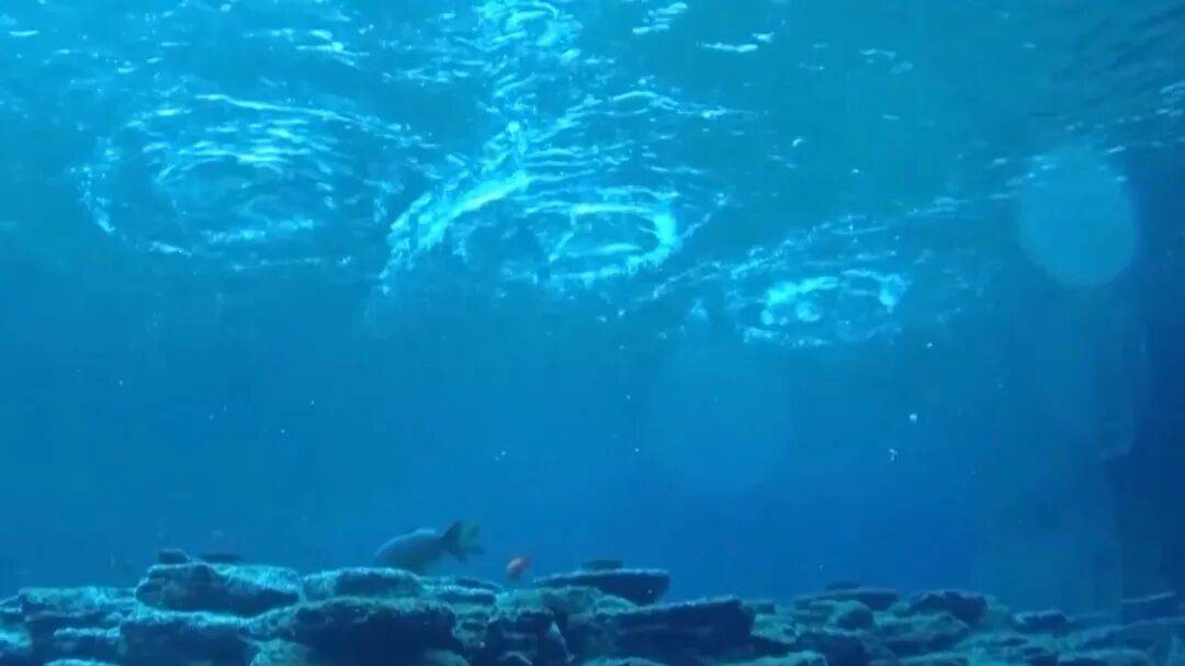 趵突泉“水涌若輪”是靠水泵？專家辟謠，央視揭秘真相:西鳳酒
